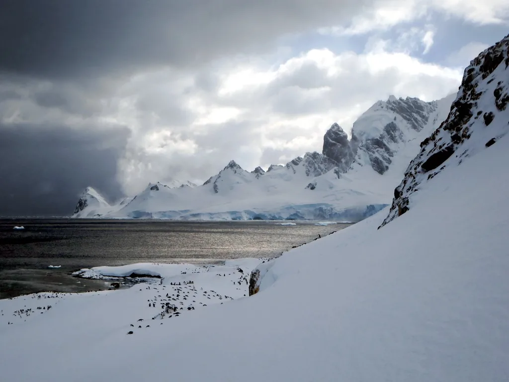 Gentoo penguins on Cuverville Island, looking out over the Arctowski Peninsula and the mountains of the Antarctic Peninsula