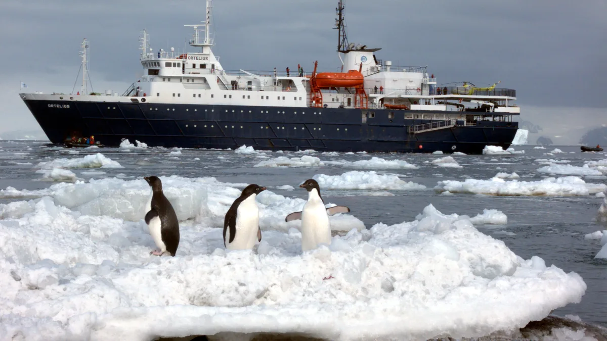 Adélie penguins on the pack ice with the expedition vessel MV Ortelius anchored offshore