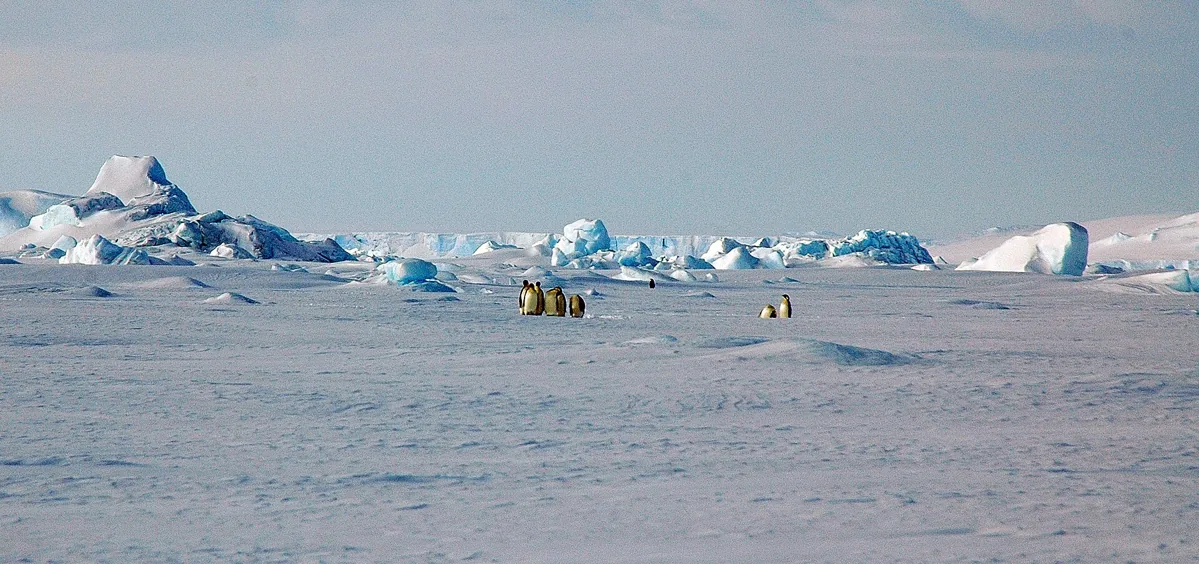 Weddell Sea pack ice and icebergs in the approach to Snow Hill Island